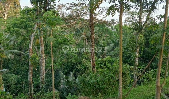 Tanah View Sungai Dan Jungle Di Keliki Ubud Bali 2