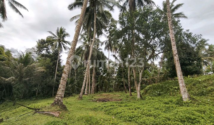 Tanah Kebun Dekat Talasi Estate Gadungan Tabanan Bali