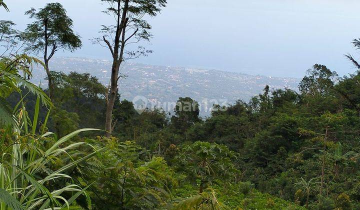 Tanah View Laut dekat Munduk dan Wanagiri Bali 2