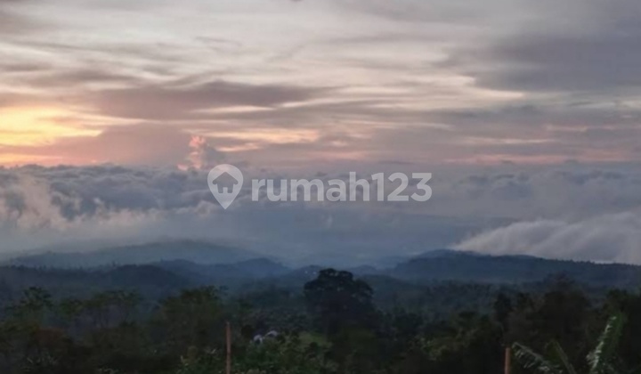 Tanah View Gunung Dan Lembah Dekat Villa Alpha Gesing Munduk Bali 1