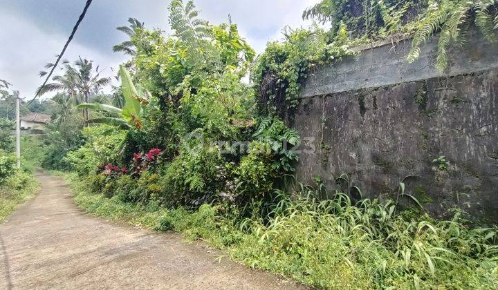 Kebun Durian Dan Manggis Di Pupuan Tabanan Bali 1