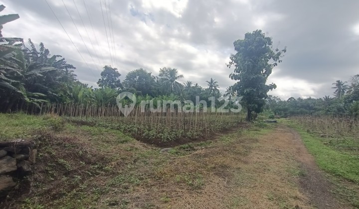 garden land in Sebali Ubud Bali