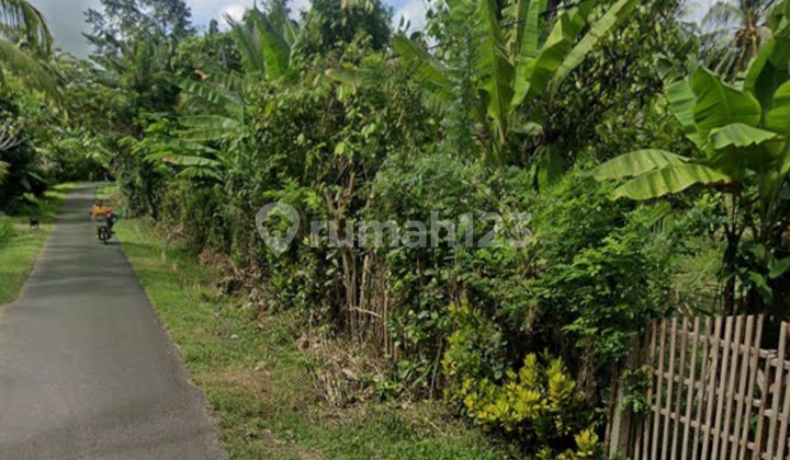 Tanah Zona Industri Di Candikusuma Melaya Jembrana Bali 2