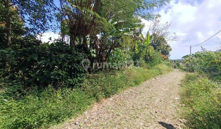 Tanah view lembah di Wanagiri dekat Munduk dan Bedugul 1