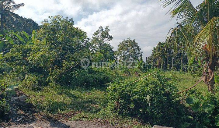 Tanah Kebun Durian Di Selemadeg Tabanan Bali 2