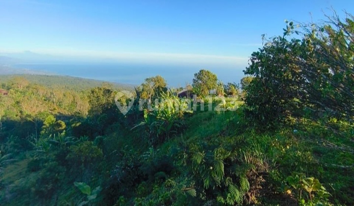Land with sea and valley views near Munduk and Wanagiri