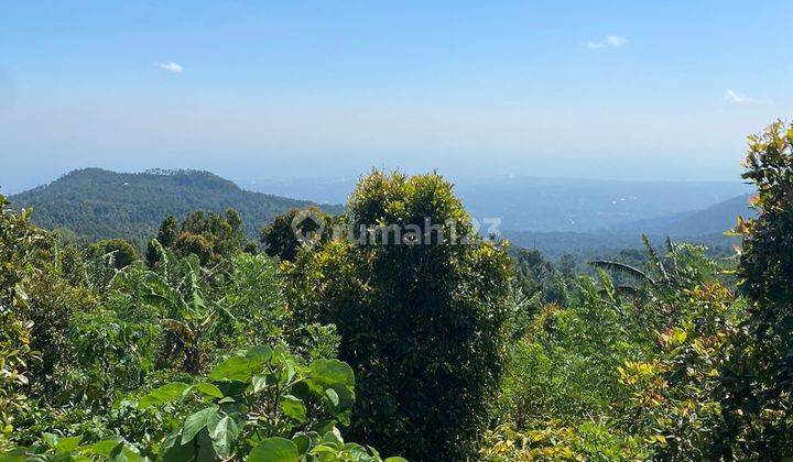 Tanah View Lembah Dan Laut Dekat Munduk Heaven Bali 2