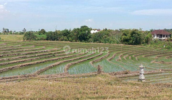 Tanah View Sawah Dan Gunung Dekat Pasut Dan Kelating Bali 1