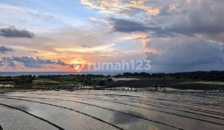 Tanah Zona Pink 600 Meter Dari Pantai Kelecung Bali Tanah Zona Pink 600 Meter Dari Pantai Kelecung Bali