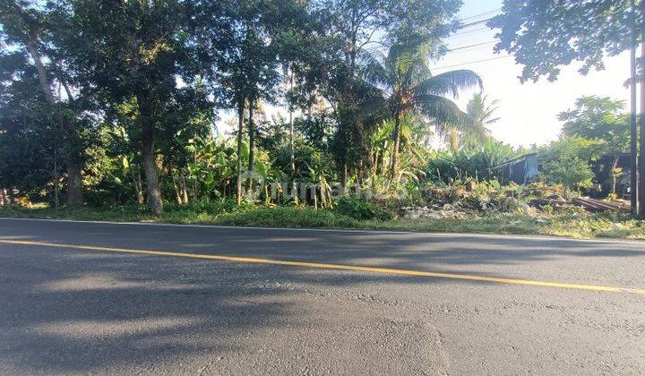 Tanah Dijalan Utama Dekat Exit Toll Pekutatan Bali 2