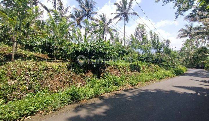 Land near Pandawa Beach, Bali, sea view on the 2nd floor 1