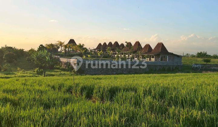 Land with Rice Field and Mountain View Near Pasut and Kelating, Bali