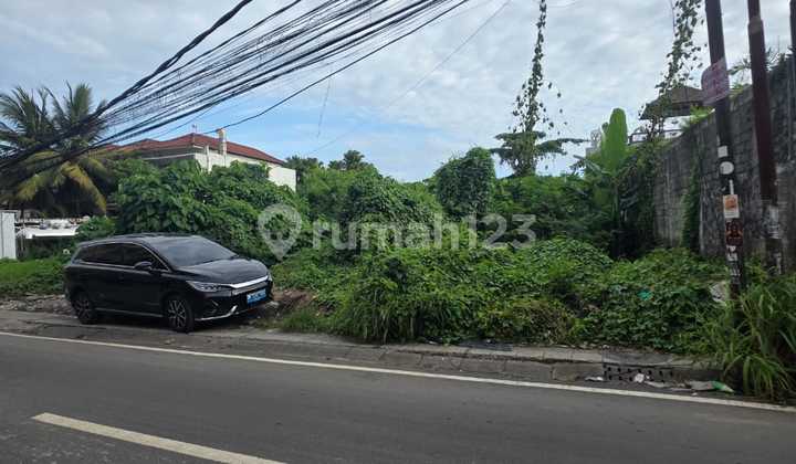 Land for rent with jungle view 15 minutes from Ubud Center Bali