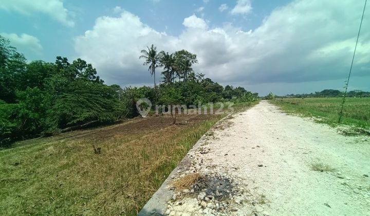 Tanah View Sawah Dan Jungle 5 Kilometer Ke Pantai Kedungu Bali 2