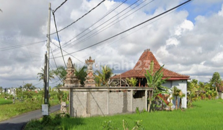Tanah Zona Kuning View Sawah Di Jalan Cinta Ubud Bali