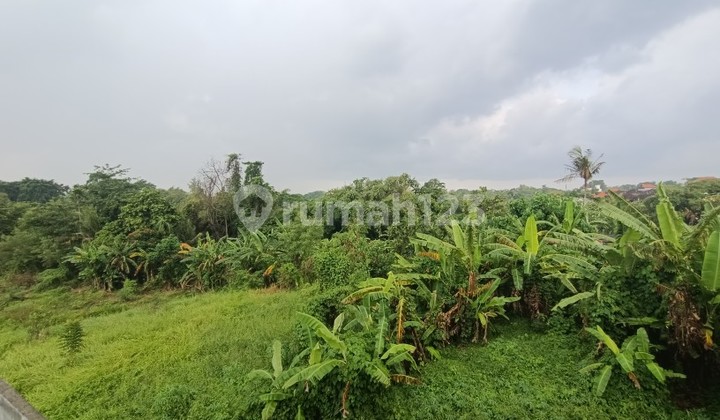 Land with rice field views near Canggu and Tanah Lot Bali Land with rice field views near Canggu and Tanah Lot Bali