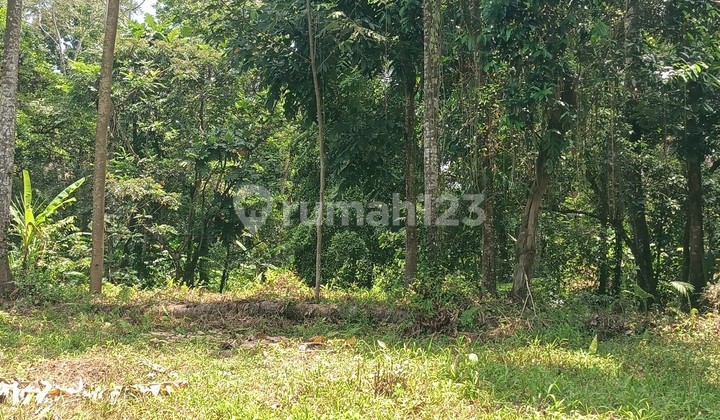 River view land near Villa Bali Lush and Bali Green Retreat