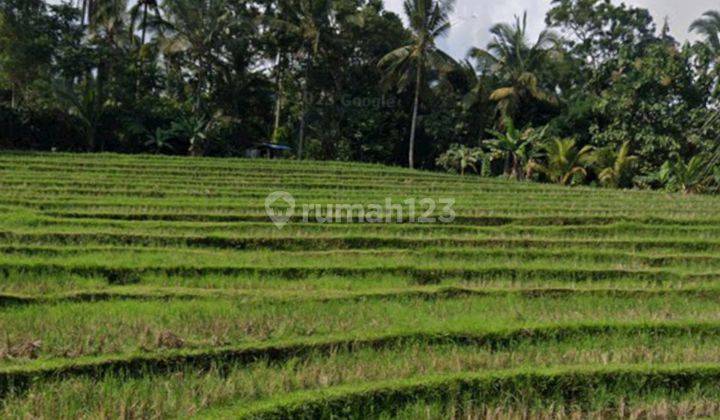 Tanah View Sawah Dan Laut Di Megati Tabanan Bali 2