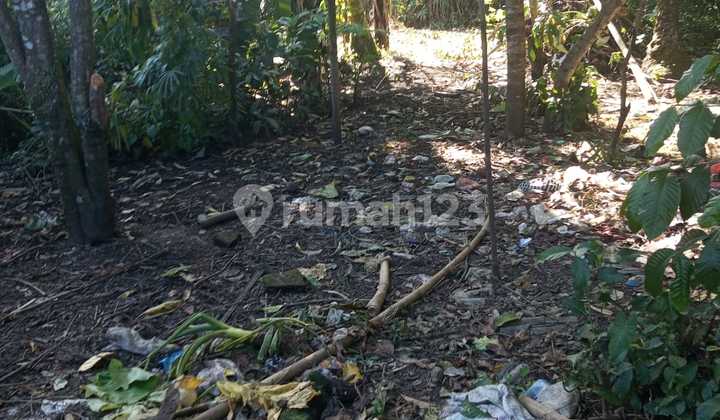 Land for lease close Nourish Cafe and 10 minutes to Bingin