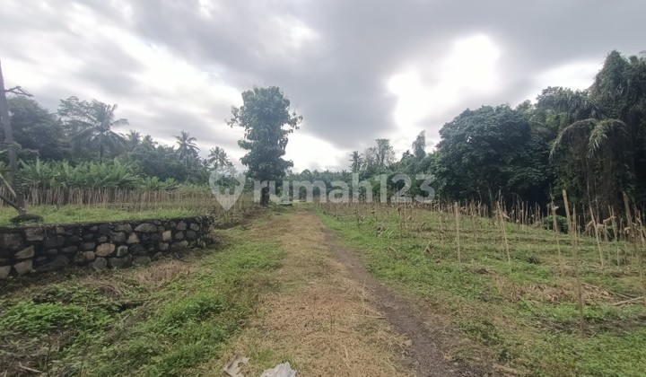 garden land in Sebali Ubud Bali