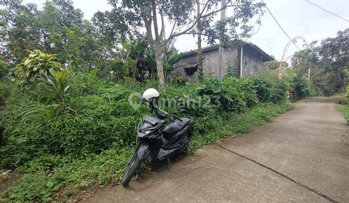 Tanah di Wanagiri Singaraja dekat Altavista Bali Mountain Villa 2