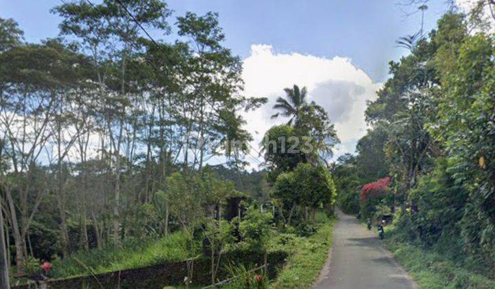 Tanah Di Pupuan Tegallalang Bali Dekat Tangkup Waterfall 1