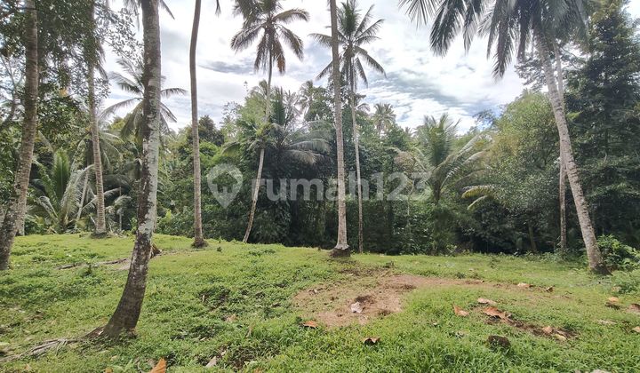 Tanah Kebun Dekat Talasi Estate Gadungan Tabanan Bali