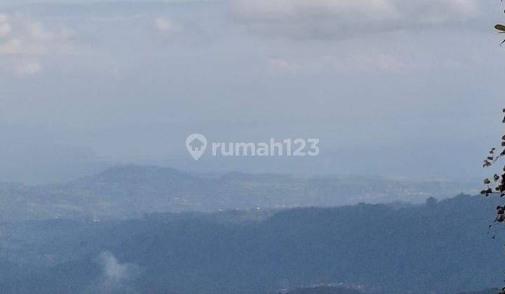 Tanah view sawah dan gunung di Munduk Singaraja Bali 1