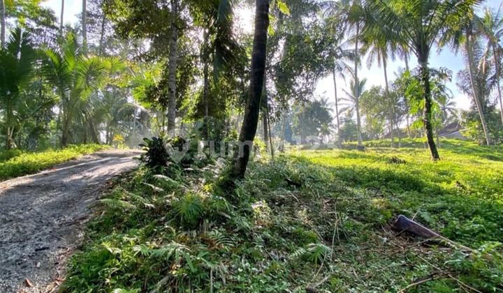 Flat land with views of rice fields near Bebali Beach and Kelecung Beach, Bali