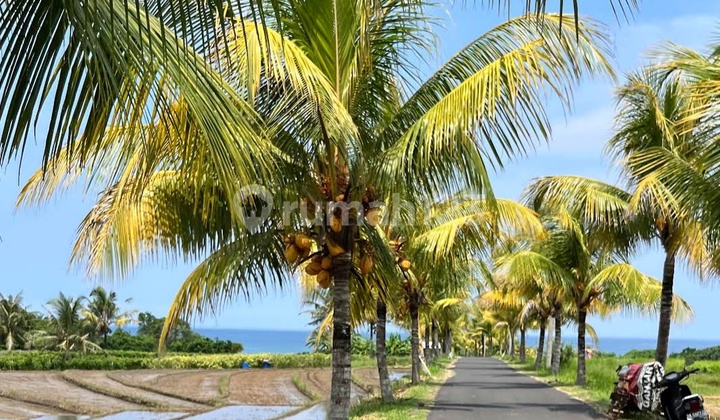 land with views of the sea, rice fields and mountains in Bali