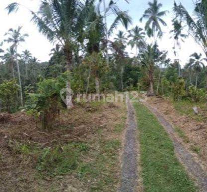 Garden Land Near Talasi Estate And Alassari Plantation Bali 1