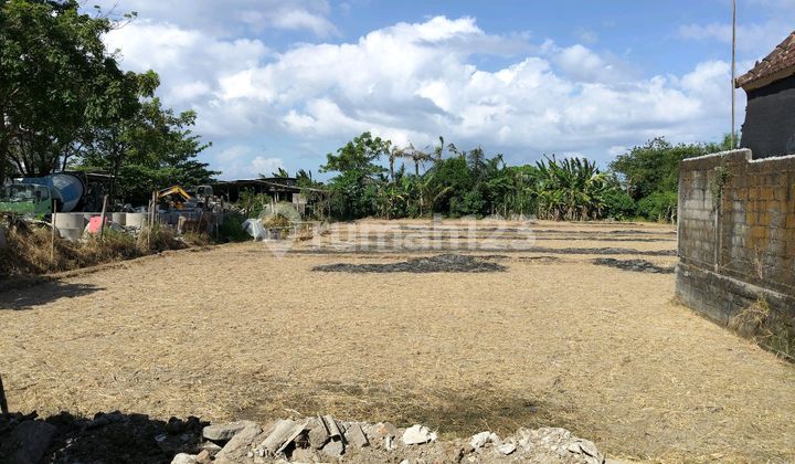 Pink Zone Land in Ketewel Near Ida Bagus Mantra Road, Bali Pink Zone Land in Ketewel Near Ida Bagus Mantra Road, Bali