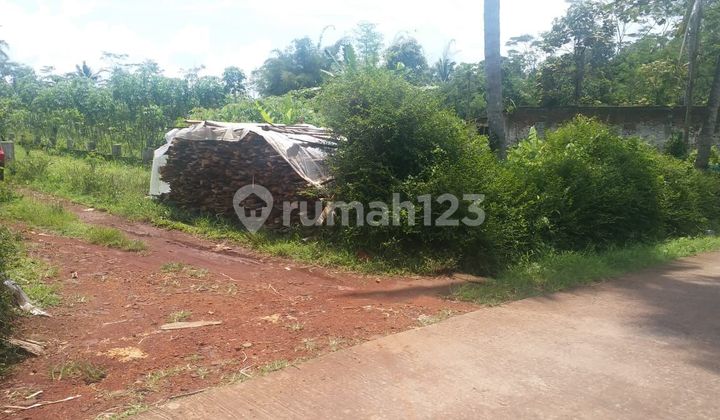Tanah Pekarangan Harga Murah Lokasi Kaloran Temanggung Tanah Pekarangan Harga Murah Lokasi Kaloran Temanggung