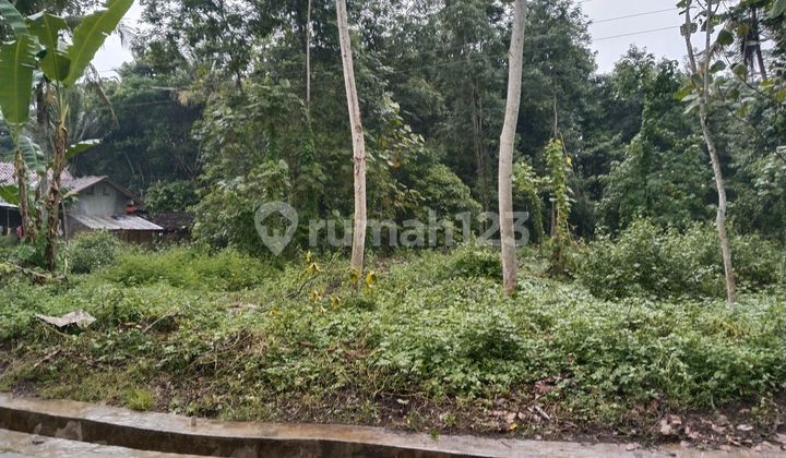 Tanah Pekarangan 1200 Meter Harga 250jt Di Purworejo Jawa Tengah