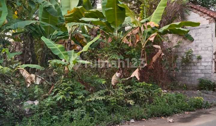 Affordable Land in a Strategic Location Near Borobudur Affordable Land in a Strategic Location Near Borobudur