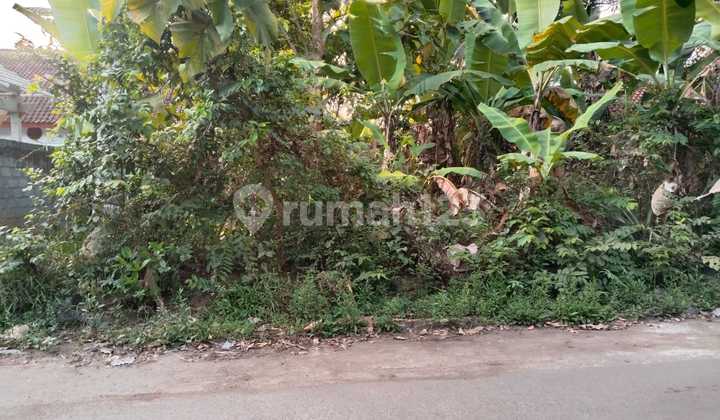 Affordable Land in a Strategic Location Near Borobudur Affordable Land in a Strategic Location Near Borobudur