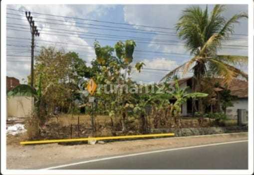 Tanah Pekarangan Luas 195 Dijual Di Sambipitu Bunder Patuk Gunungkidul, Cocok Untuk Usaha Atau Tempat Tinggal Tanah Pekarangan Luas 195 Dijual Di Sambipitu Bunder Patuk Gunungkidul, Cocok Untuk Usaha Atau Tempat Tinggal