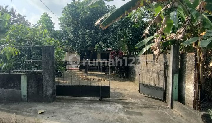 Simple House in the Village, A Young Family's Dream 2