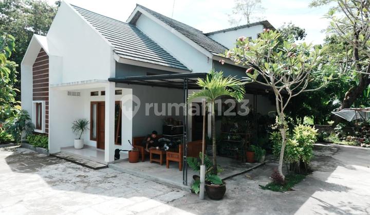 Dream Home in Bangunjiwo, Bantul, Yogyakarta – Comfortable and Lush 2