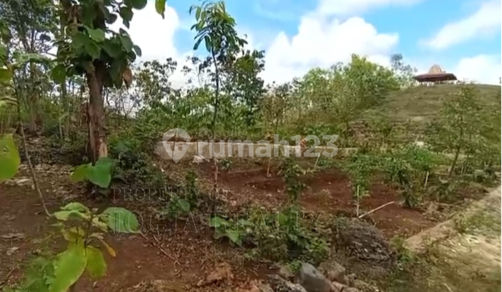 Tanah Cantik Berbukit dengan View Kota Wonosari Nan Exotik Melihat Sunrise dan Sunset Dari Satu Tempat Dekat dengan Kampus Uny Wonosari