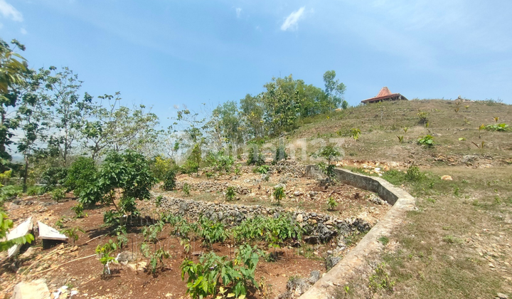 Tanah Cantik Berbukit dengan View Kota Wonosari Nan Exotik Melihat Sunrise dan Sunset Dari Satu Tempat Dekat dengan Kampus Uny Wonosari