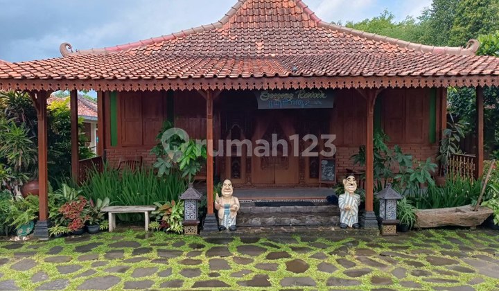 Villa Dijual Jogja Adem Asri Private Pool di Pakembinangun Sleman Yogyakarta