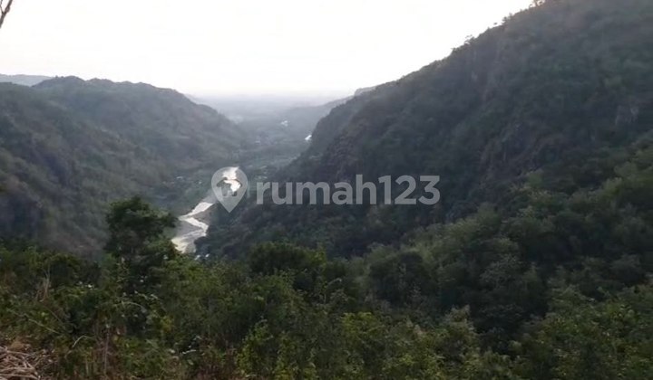 Beautiful Land with a Very Beautiful View of Pine Forest and River Meanders