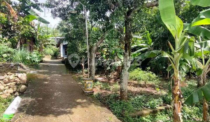 Dijual Murah Tanah Pekarangan Di Area Yang Asri@ Nyaman Dan Sejuk Imogiri Bantul Yogyakarta