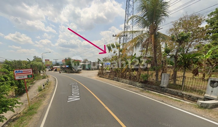 Tanah Pekarangan Luas 195 Dijual Di Sambipitu Bunder Patuk Gunungkidul, Cocok Untuk Usaha Atau Tempat Tinggal Tanah Pekarangan Luas 195 Dijual Di Sambipitu Bunder Patuk Gunungkidul, Cocok Untuk Usaha Atau Tempat Tinggal