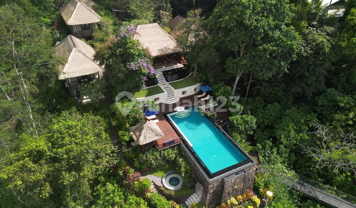 Own Your Own Piece Of Ubud Paradise. Amori Villa.