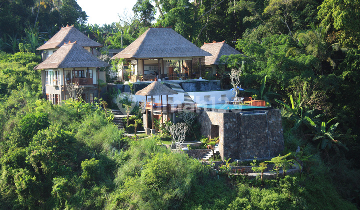 Own Your Own Piece Of Ubud Paradise. Amori Villa. 2