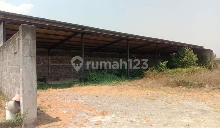 Warehouse for Rent/Sale - Ngoro - Mojokerto Warehouse for Rent/Sale - Ngoro - Mojokerto