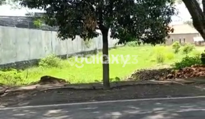 JUAL TANAH PINGGIR JALAN RAYA DAERAH PERGUDANGAN KOTA PASURUAN JUAL TANAH PINGGIR JALAN RAYA DAERAH PERGUDANGAN KOTA PASURUAN