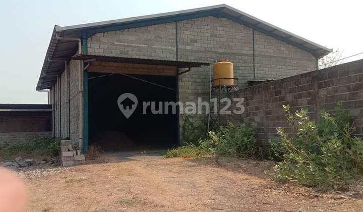 Warehouse for Rent/Sale - Ngoro - Mojokerto Warehouse for Rent/Sale - Ngoro - Mojokerto